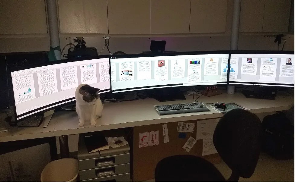 Desktop Publishing Multi-Display Settings and Productivity Measures