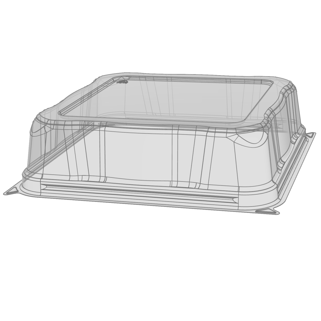 Plastic Food Packaging Display Pack
