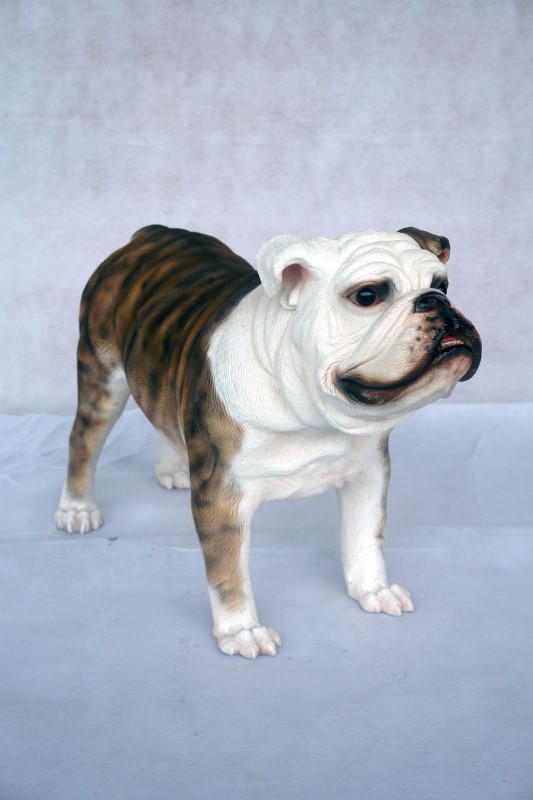 Bulldog Statue / Brindle Bulldog [ANI2953Y] 189.99 , Life size fiberglass statues