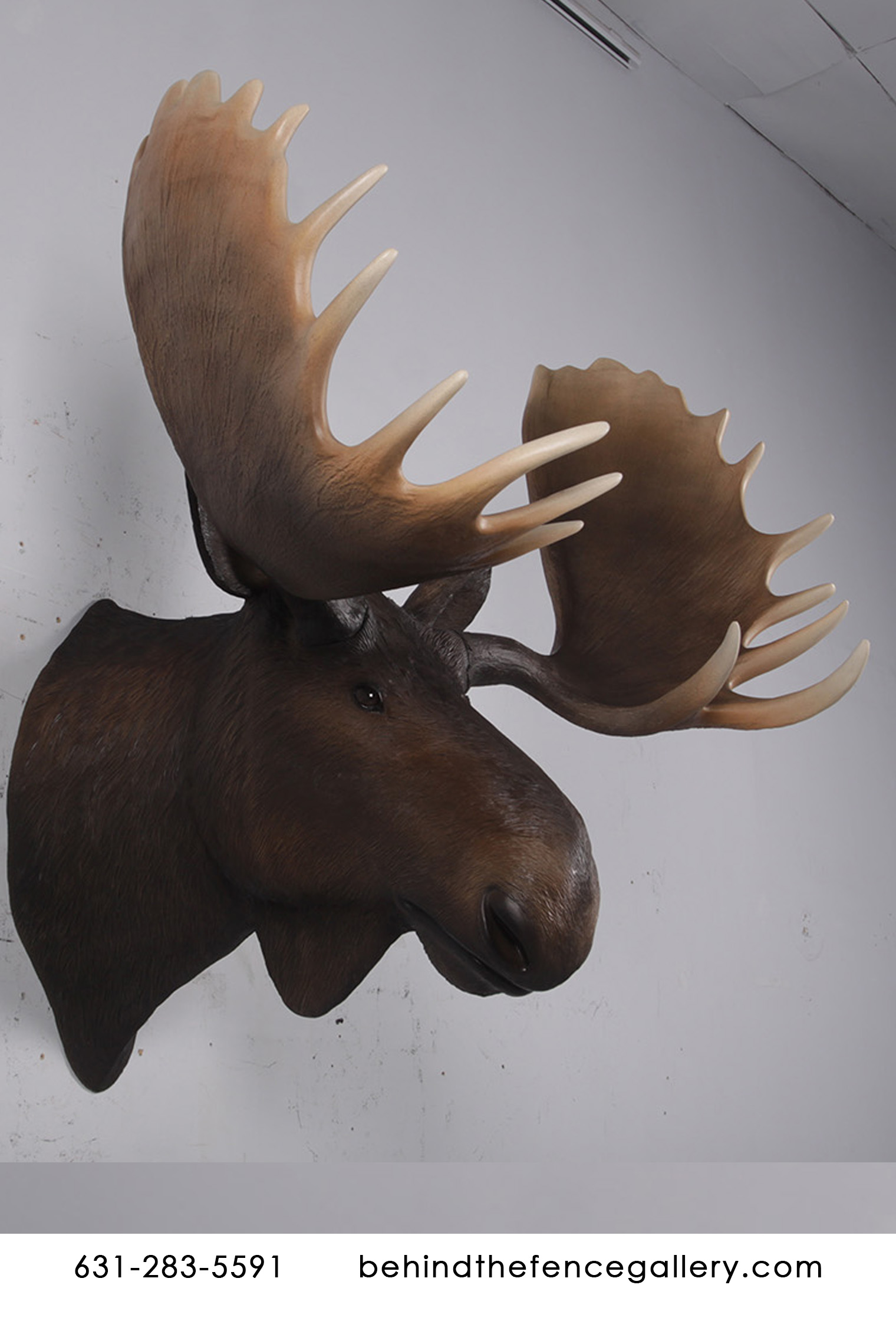 Wall Mounted Moose Head Statue Wall Mounted Moose Head Statue