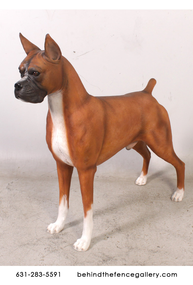 Boxer Statue Boxer [DOG110120H] 259.99 , Life size fiberglass statues