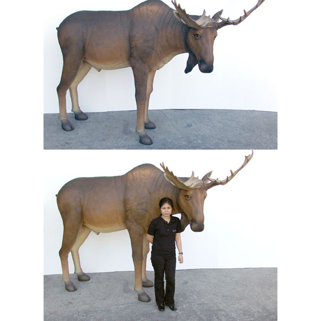 Fiberglass Moose Lifesize Lifesize Moose Statue