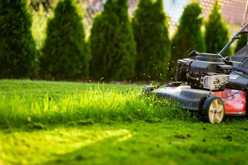 How to Dispose of an Electric Lawn Mower DisposalXT
