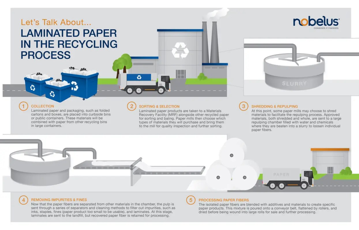 Can you recycle laminated paper? 5 Best way to dispose of it