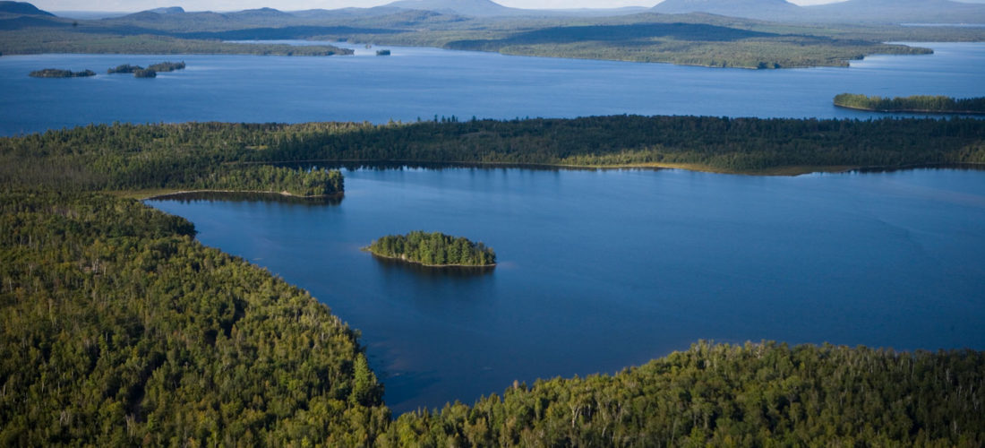 Maine Earth First! Disrupts State’s Approval of Plum Creek Development