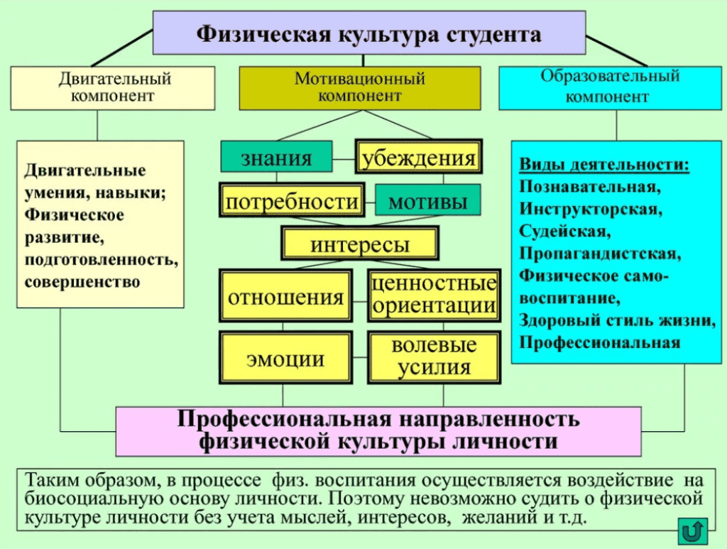 Топ10 тем ВКР по физической культуре