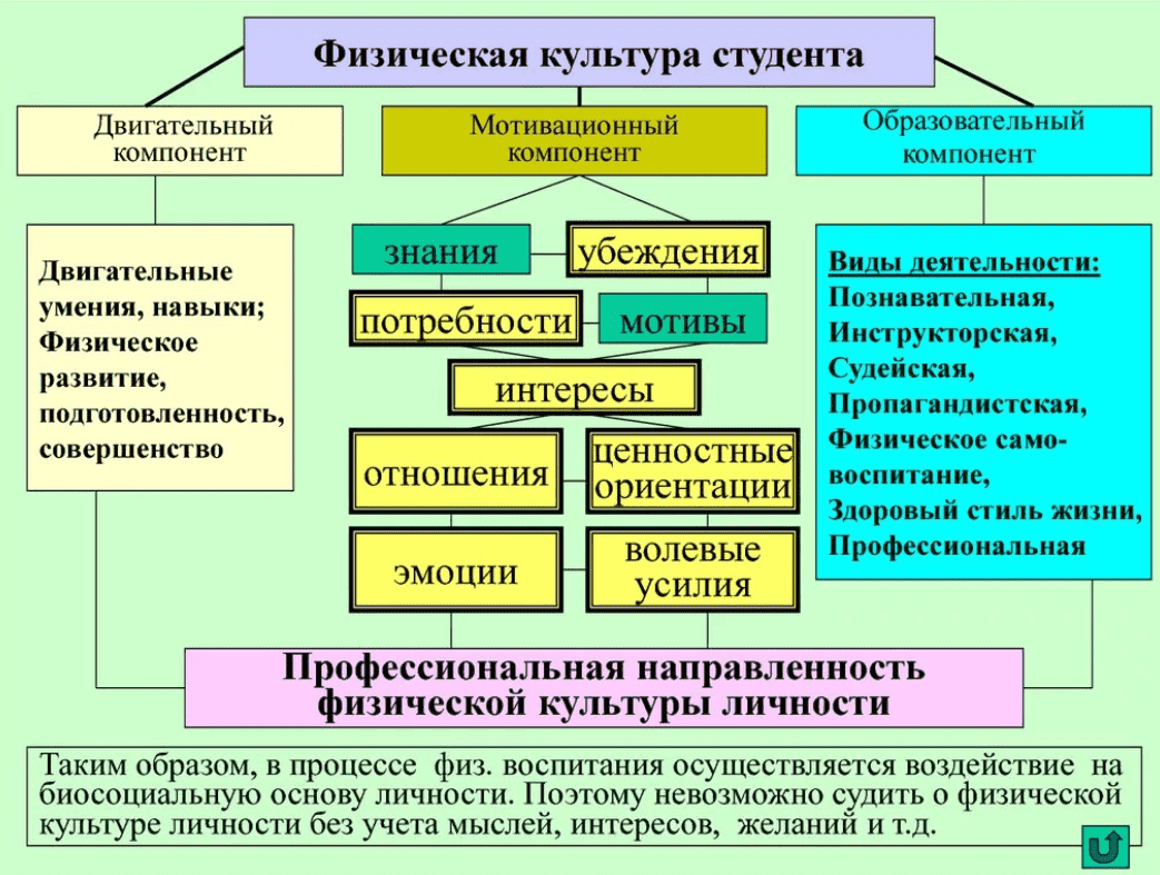 Топ10 тем ВКР по физической культуре