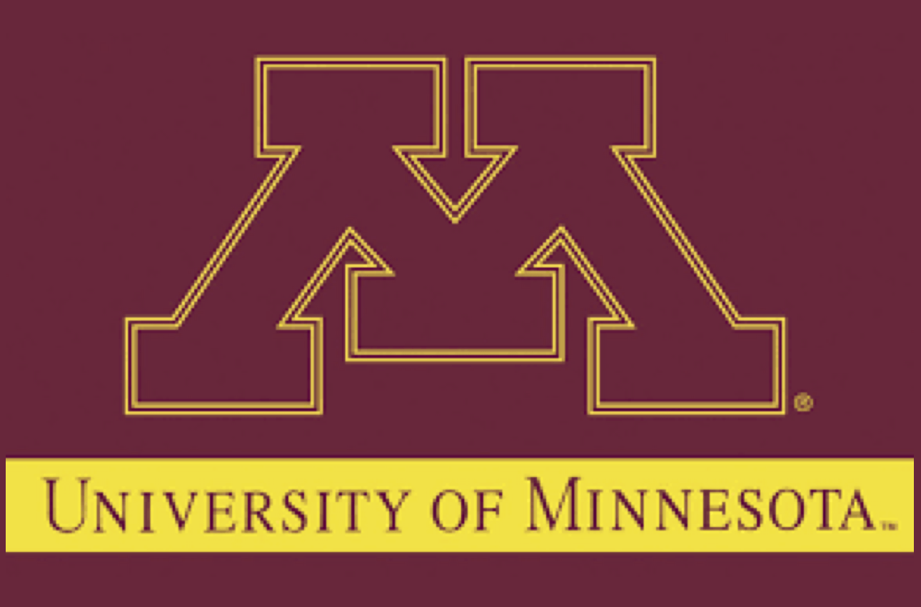 University of Minnesota should go all in with online learning