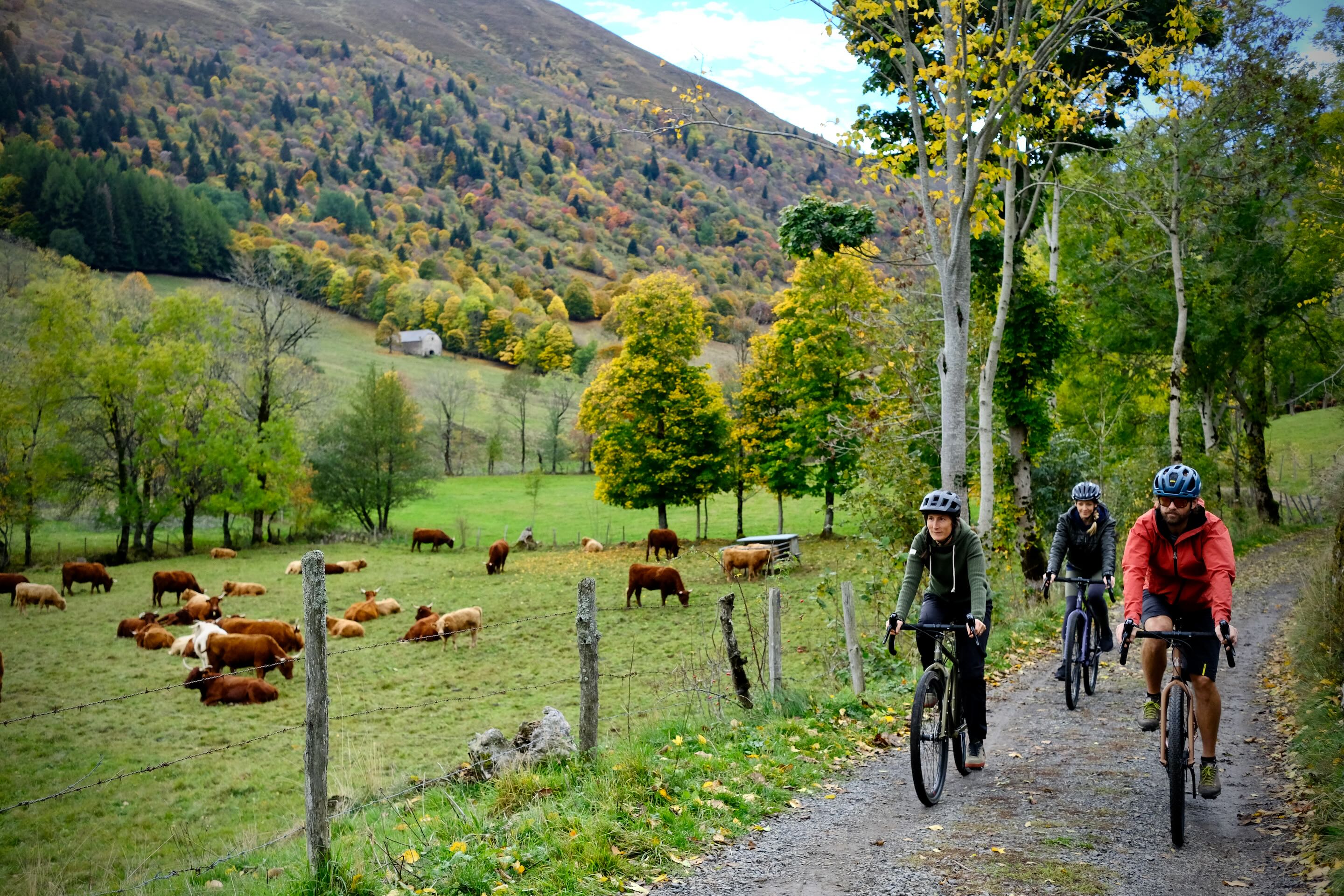 Offre de location chez Alta Terra D I S T A N C E