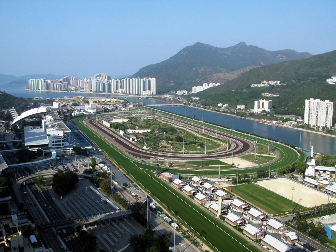 ShaTin Racecourse - Distinctive Performance