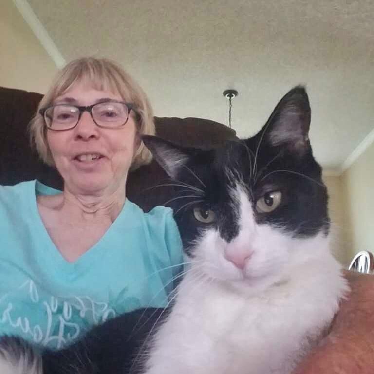 About Us Distinctive Pet Care Littleton CO