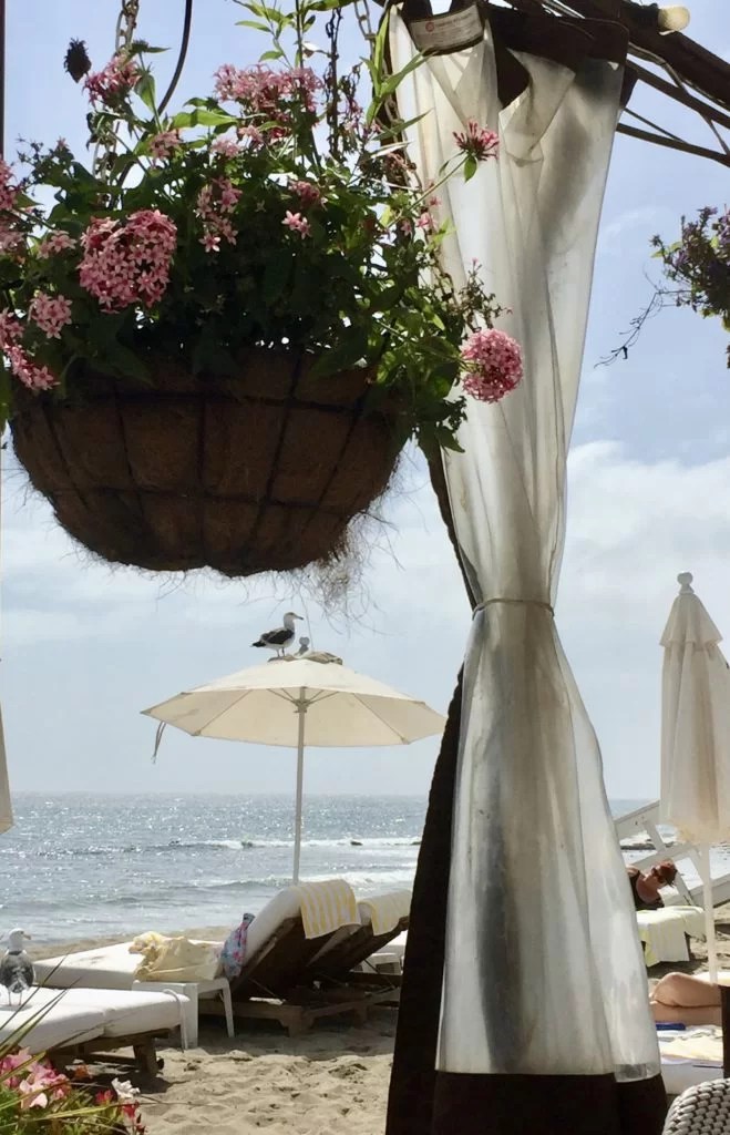 Travel Thursday Scenes From Malibu And The Paradise Cove