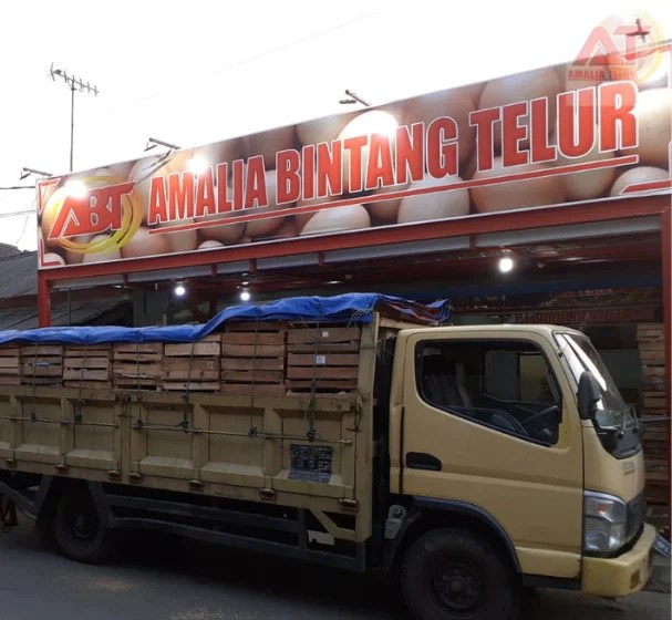 PT. Amalia Bintang Telur Distributor Telur(04)