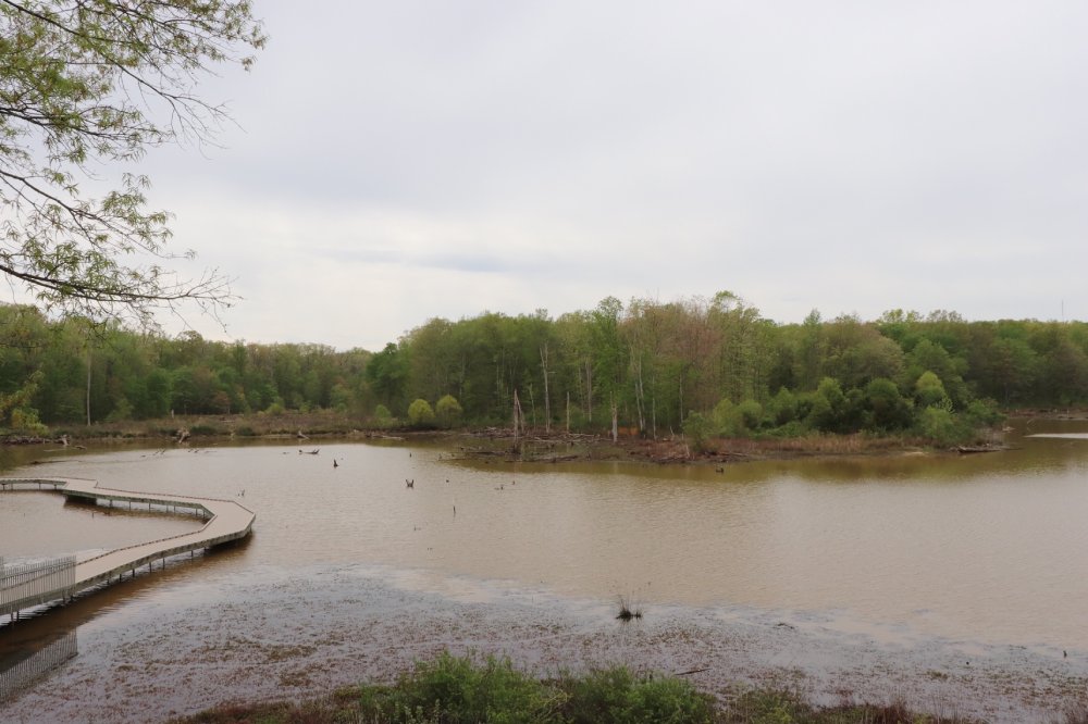 Wanderlust Your Guide to Hiking Huntley Meadows Park District Fray