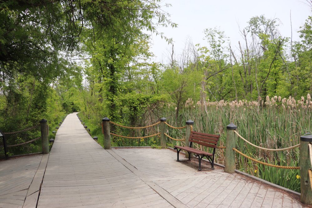 Wanderlust Your Guide to Hiking Theodore Roosevelt Island District Fray