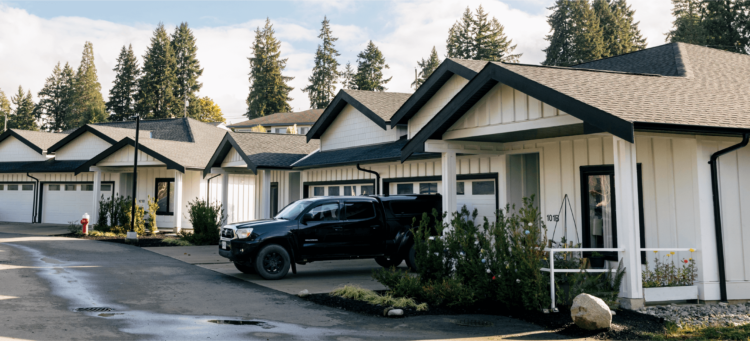 Park Ridge at Anderson Hill District Group