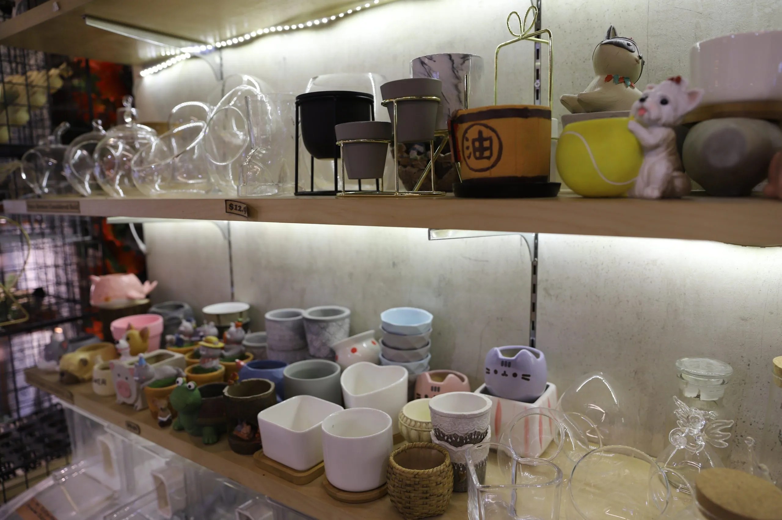 Choosing our own pots for our DIY terrarium