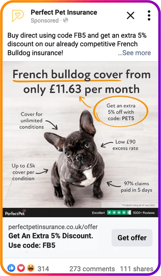 Perfect Pet Insurance Case Study Disturb Digital