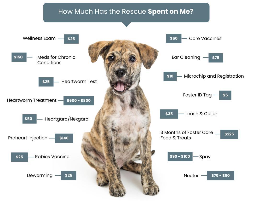 Adoption Fees Diamonds in the Ruff Rescue MO