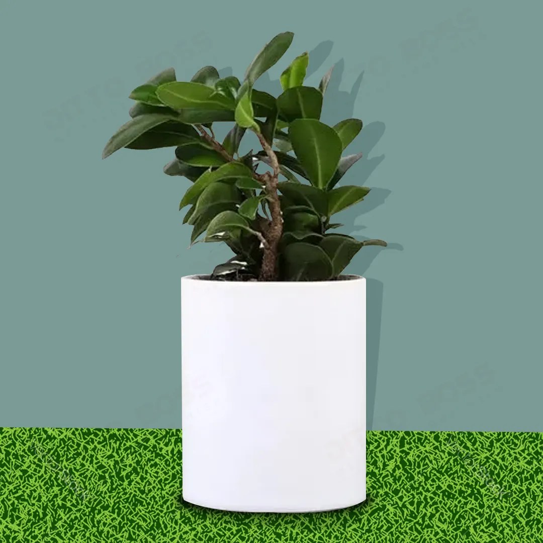 Sublimation Flower Pot