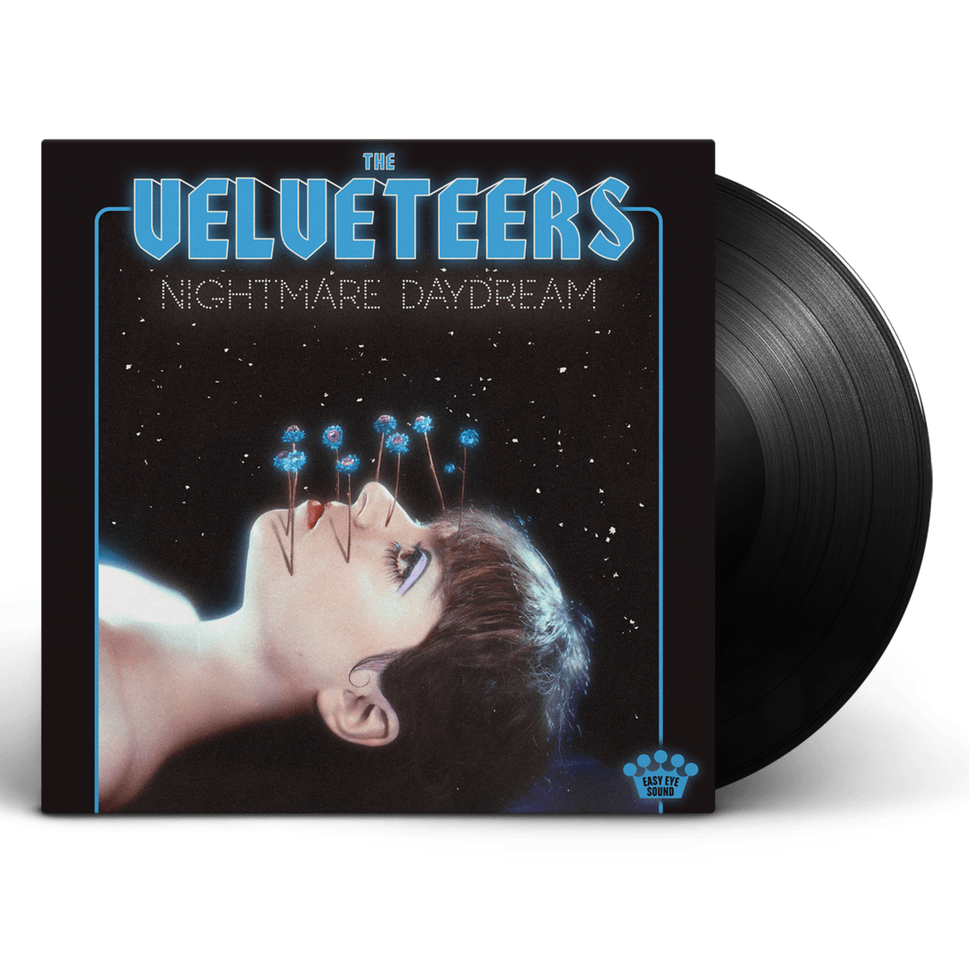 5 Questions with The Velveteers DittyTV