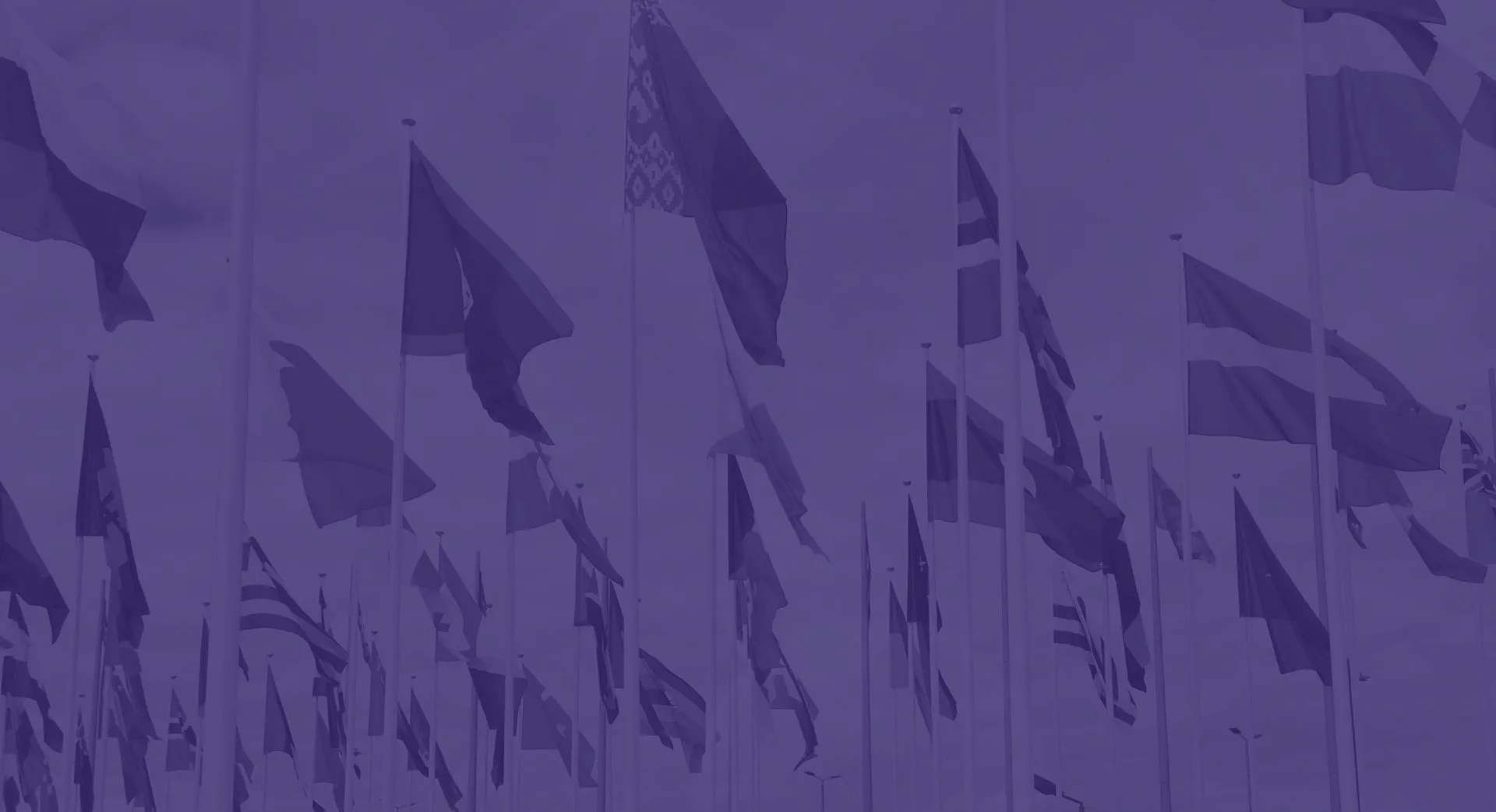 purple flags Dallas International University