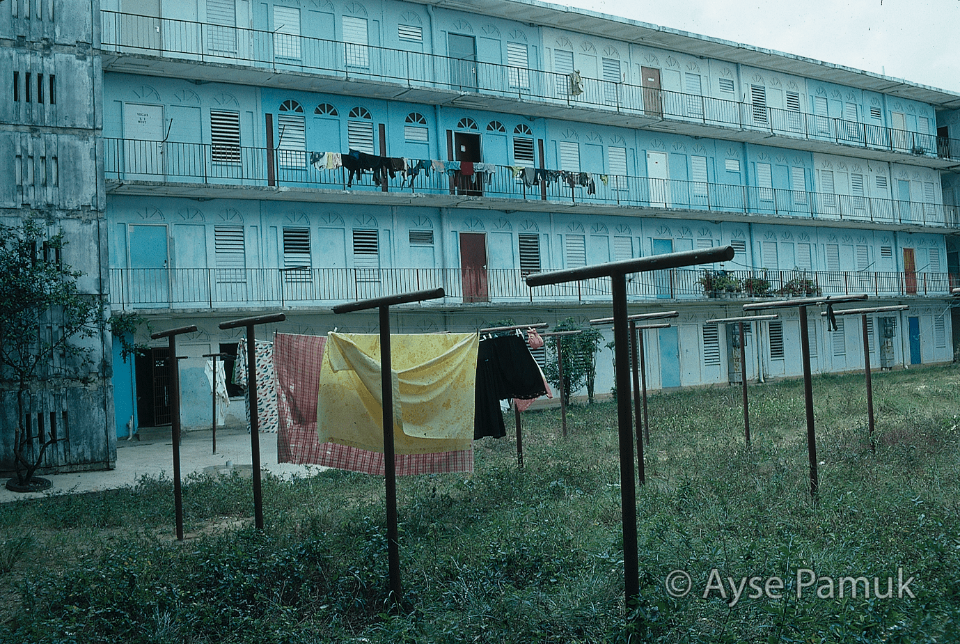 Trinidad & Tobago Public Housing, Maloney Ayse Pamuk International