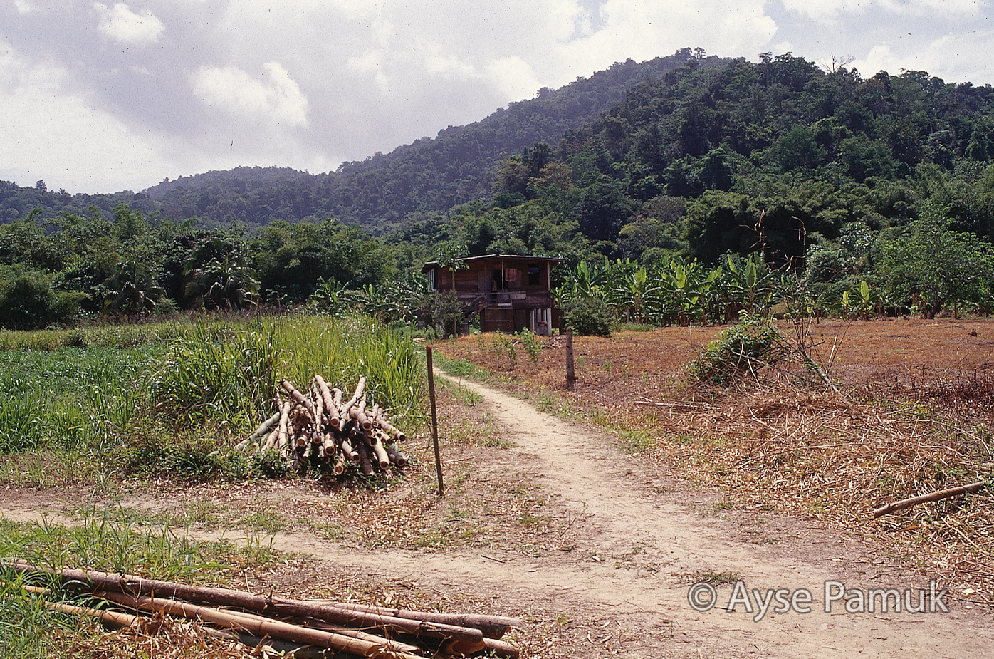 Trinidad & Tobago Informal Housing Ayse Pamuk International