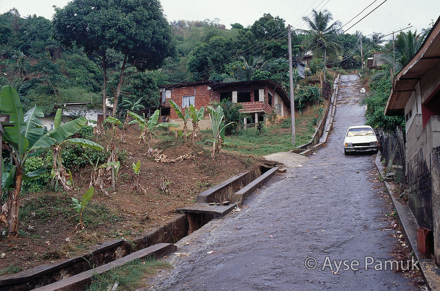 Trinidad & Tobago Informal Housing Ayse Pamuk International