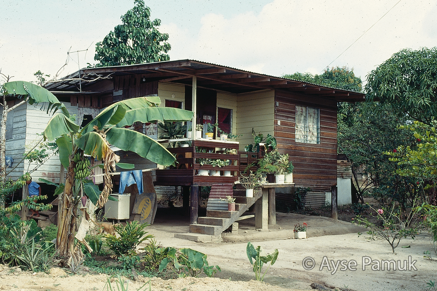 Trinidad & Tobago Informal Housing Ayse Pamuk International