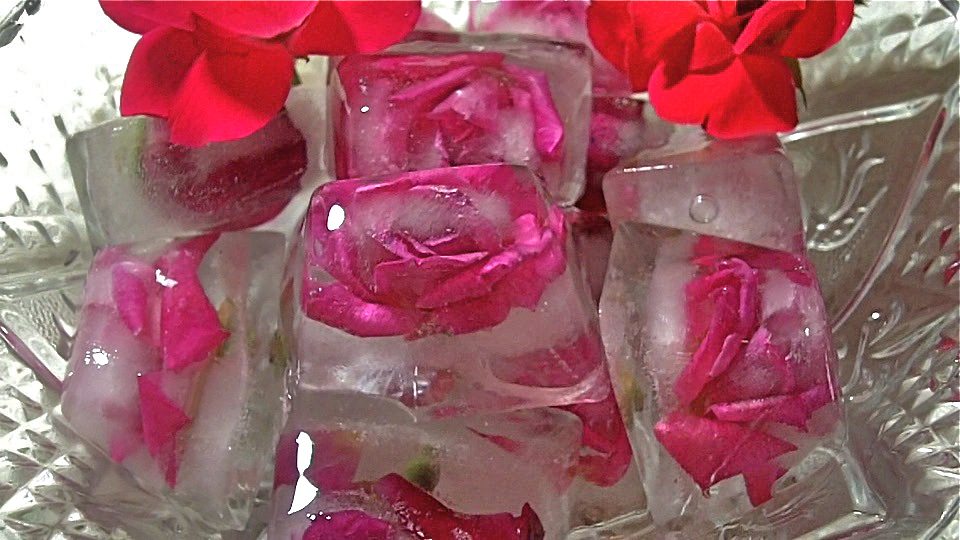 Fresh Floral Ice Cubes ( Roses In Ice) Divas Can Cook