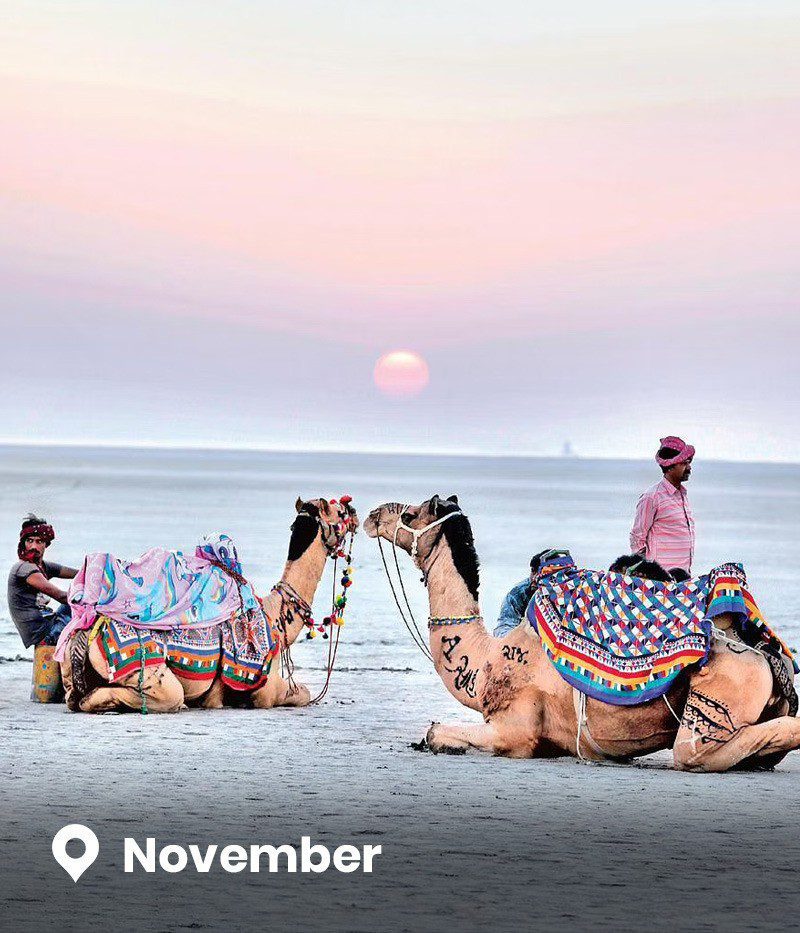 Best Solo Women Travel Company Best Solo Women Travel Company