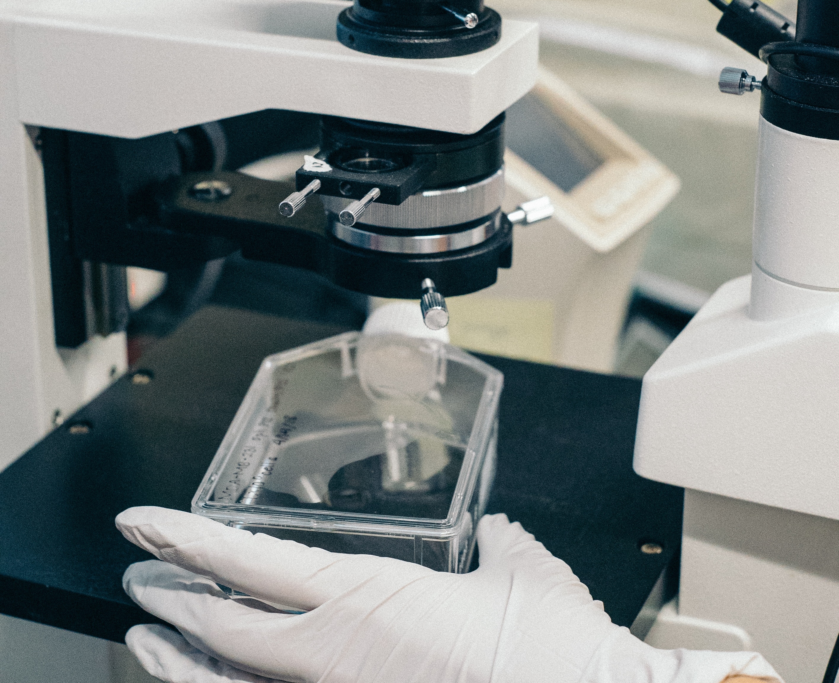 Researchers identify potential new treatment target for Crohn’s disease