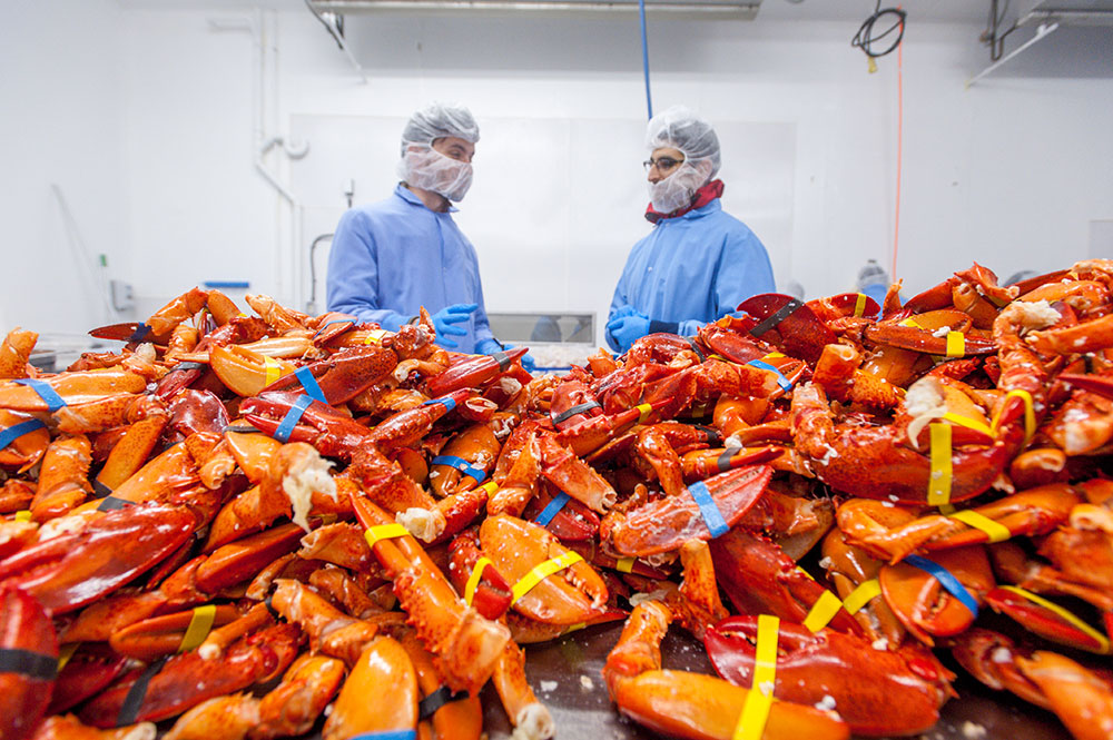 White House pledges support for lobster industry National Fisherman