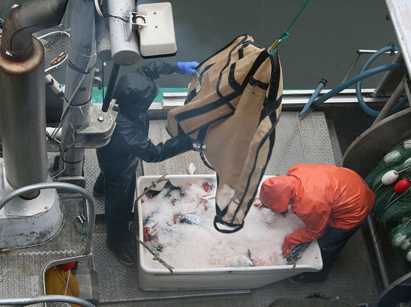 Alaska’s Land of Second Sons Petersburg in profile National Fisherman