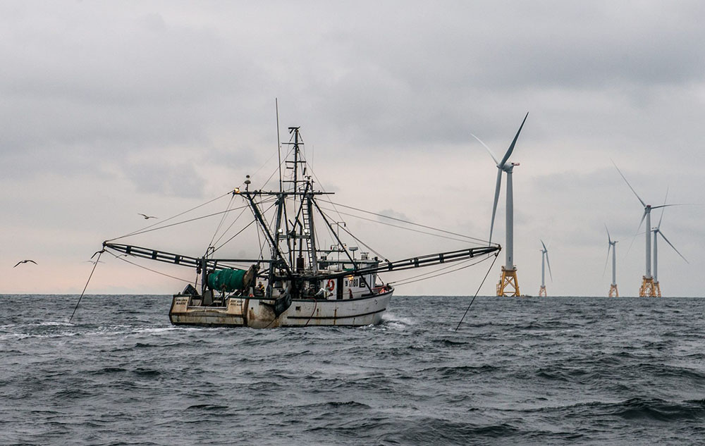 Offshore wind Seven things every fisheries professional needs to know