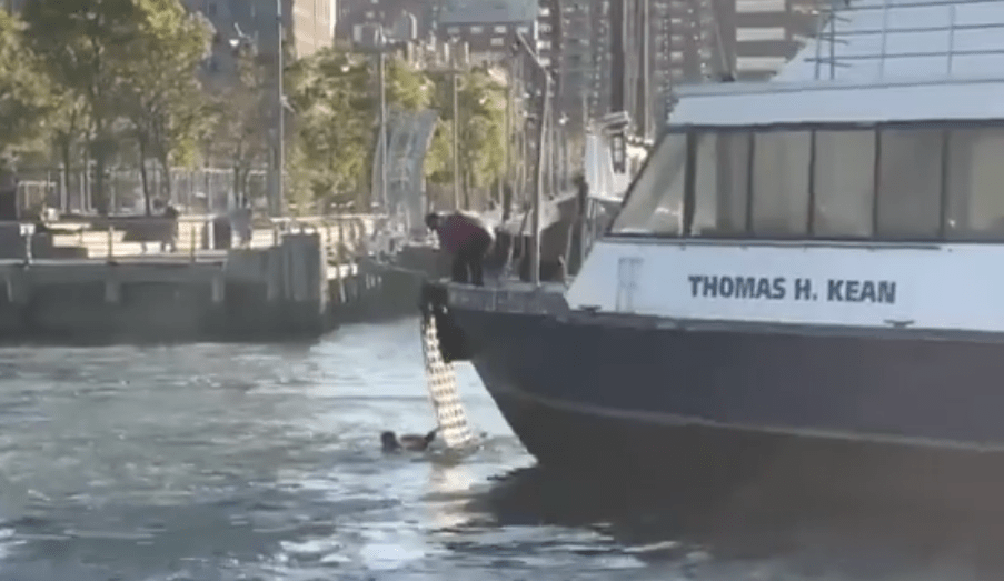 NY Waterway ferry crew rescues Hudson River jumper WorkBoat