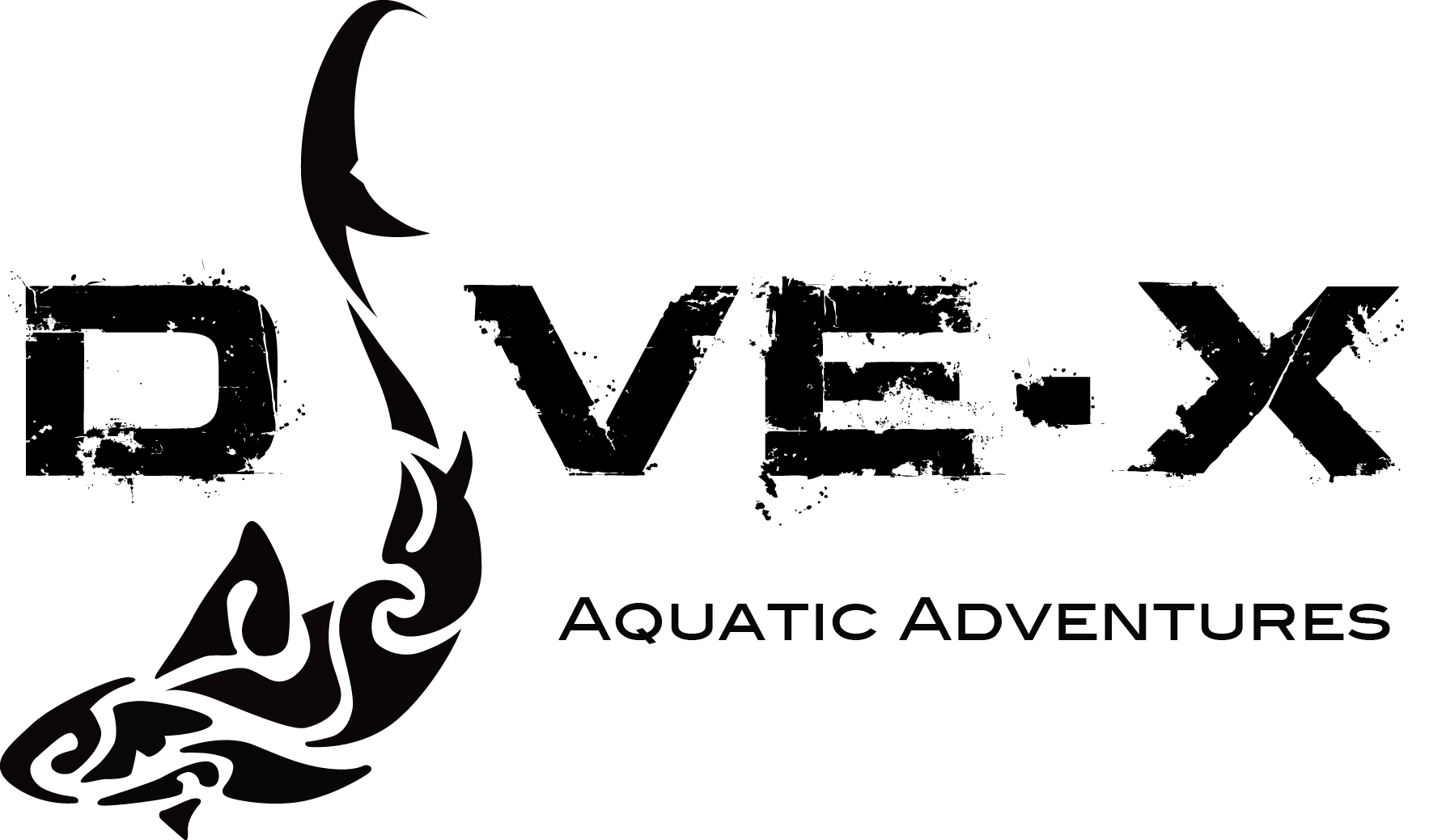 DIVEX Buceo en Playa del Carmen PADI