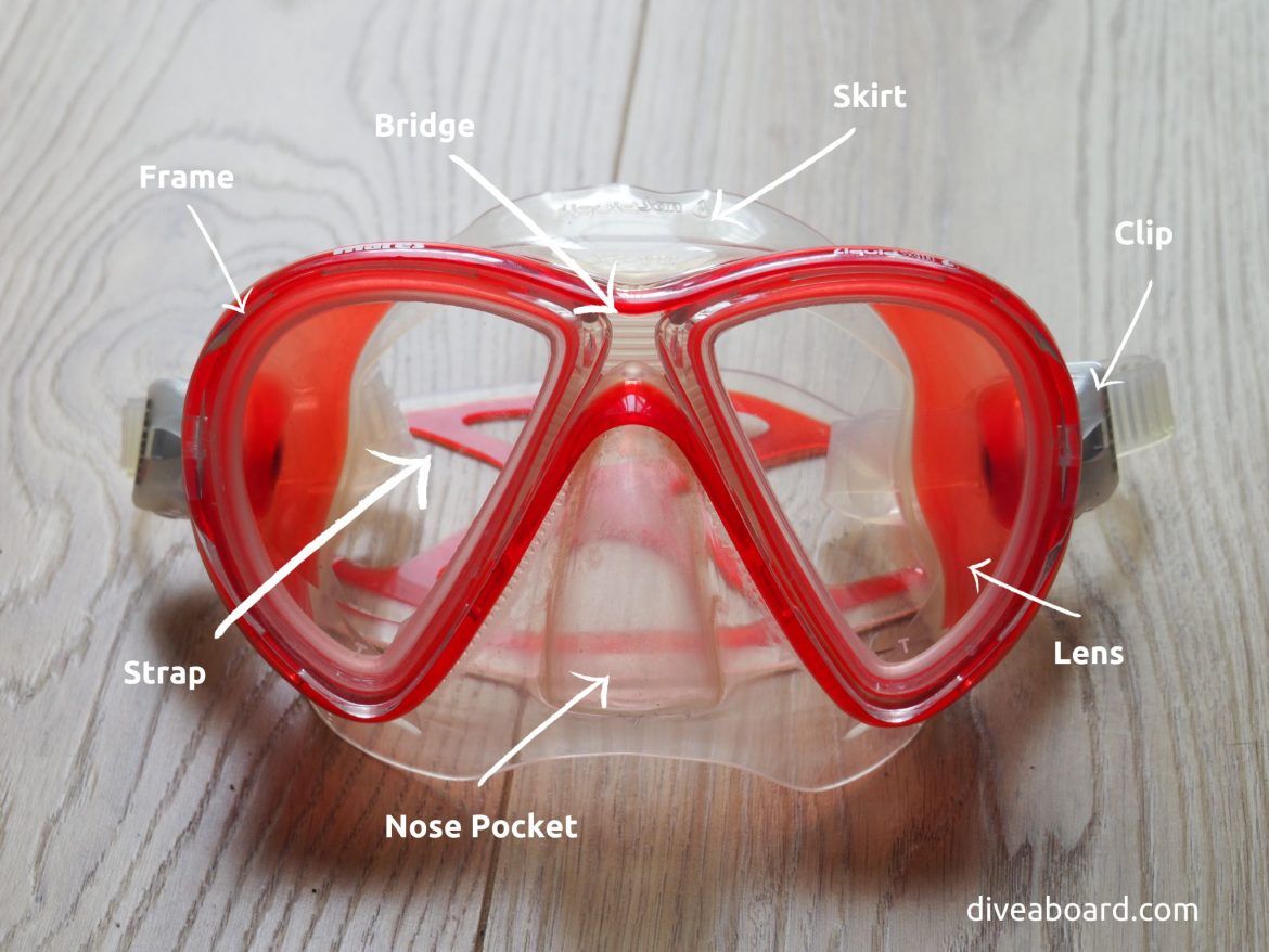 9 Scuba Masks Types You Should Know