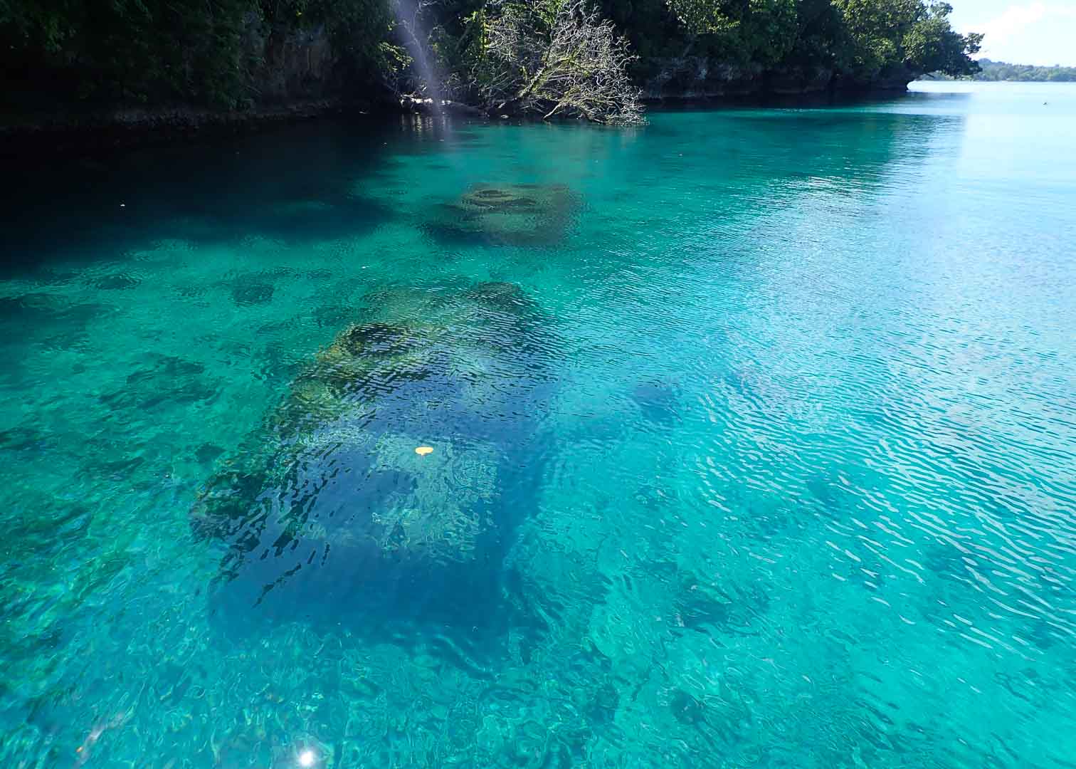 Rabaul Scuba Diving — Dive Adventures