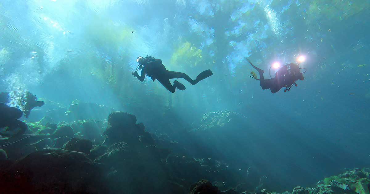 Our staff knows… Blue Grotto Dive Resort