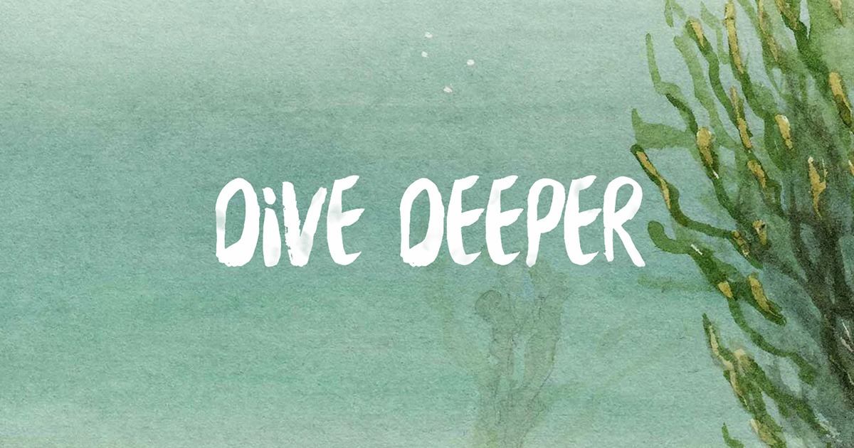 Dive Deeper A virtual museum exploring the Quoddy Region.