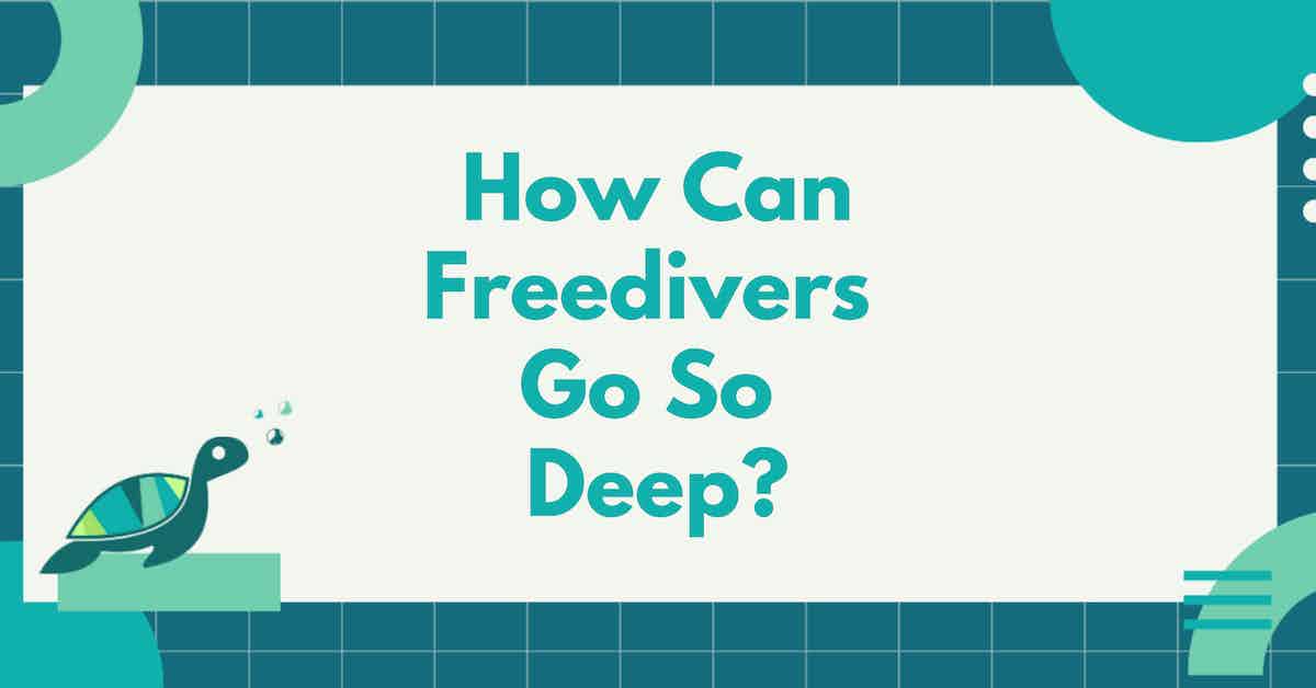 How Can Freedivers Go So Deep?