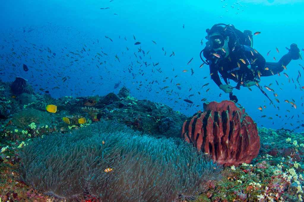 Deep Sea Diving in India Havelock, Andaman Islands