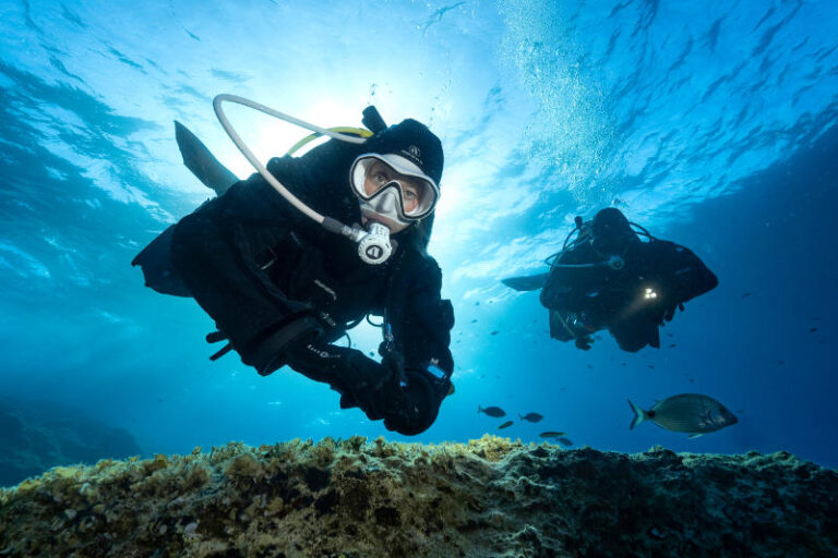 Blog Indy Dive Center
