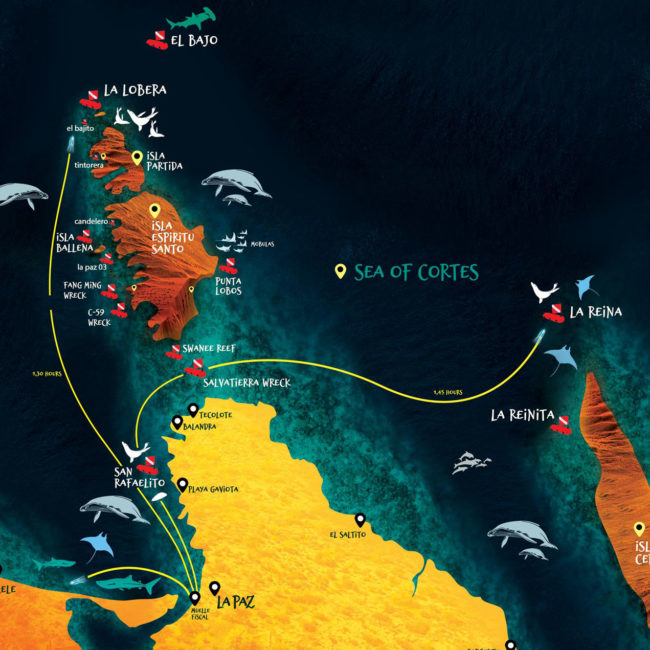 Dive in La Paz Dive Center in La Paz Baja California Sur, Mexico