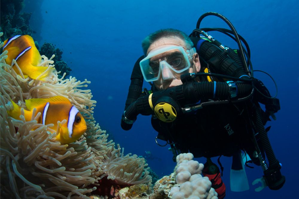 Pros and cons of rebreathers DIVE Magazine