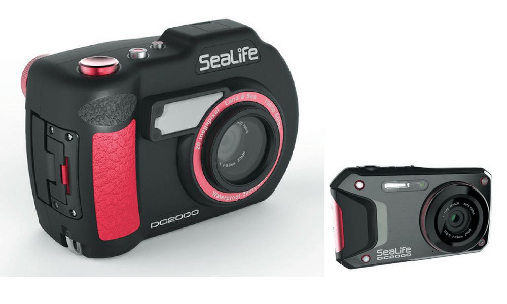 Best compact and mirrorless cameras for divers DIVE Magazine