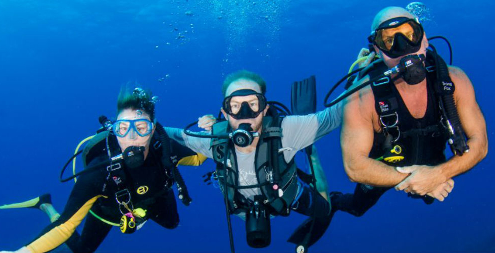 Single Dive Dive Malta with Diveshack
