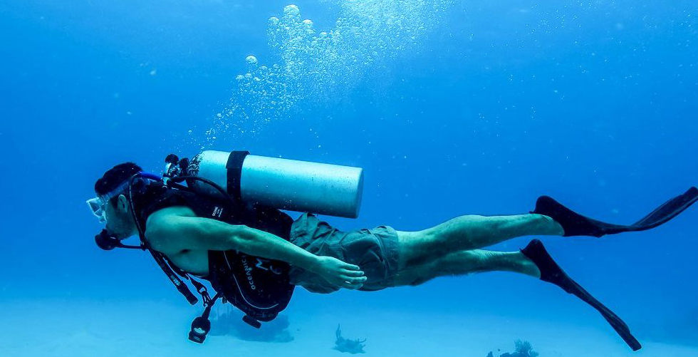 Diving With Diveshack Malta PADI Dive Centre Malta